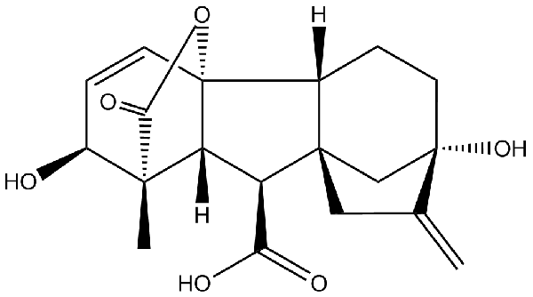 赤霉素GIBBERELLIC ACID，居然有這么神奇？