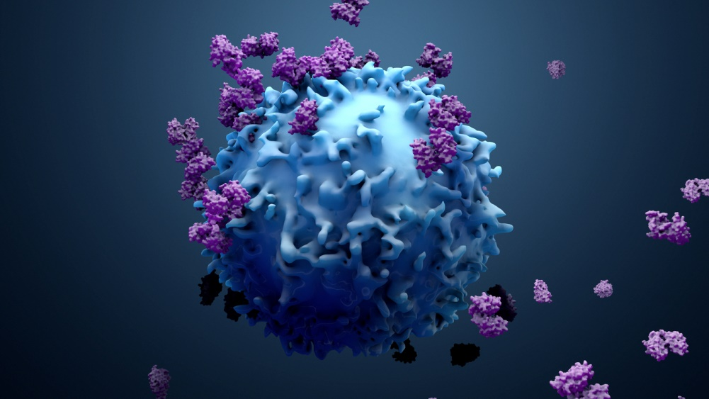 Uncovering Virusys Human Herpes Virus Antibodies: A Research Tool from Laboratory to Clinic Uncovering Virusys Human Herpes Virus Antibodies: A Research Tool from Laboratory to Clinic